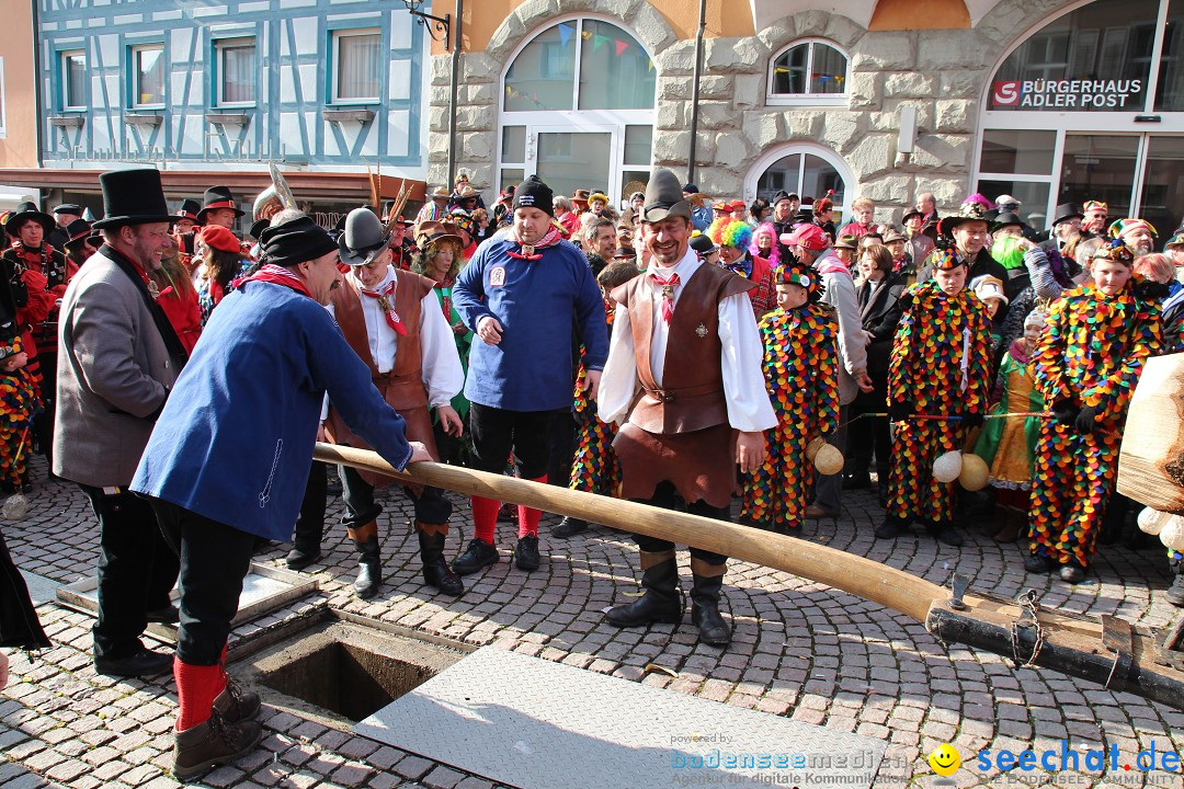 Narrenbaumstellen, Winfried Kretschmann: Stockach am Bodensee, 27.02.2014