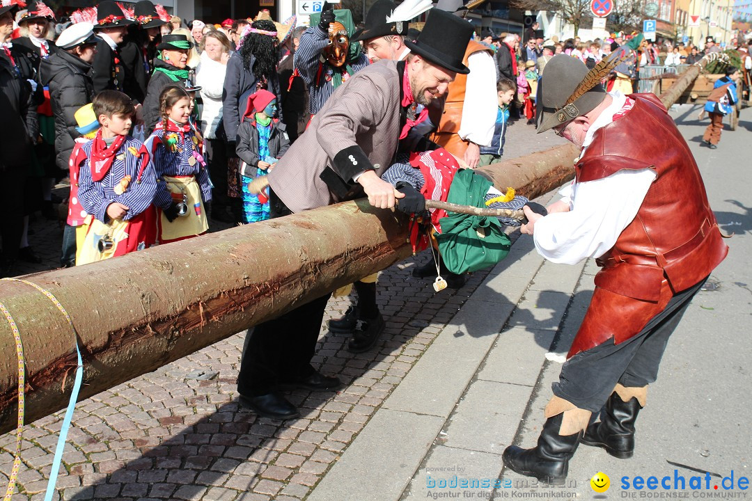 Narrenbaumstellen, Winfried Kretschmann: Stockach am Bodensee, 27.02.2014