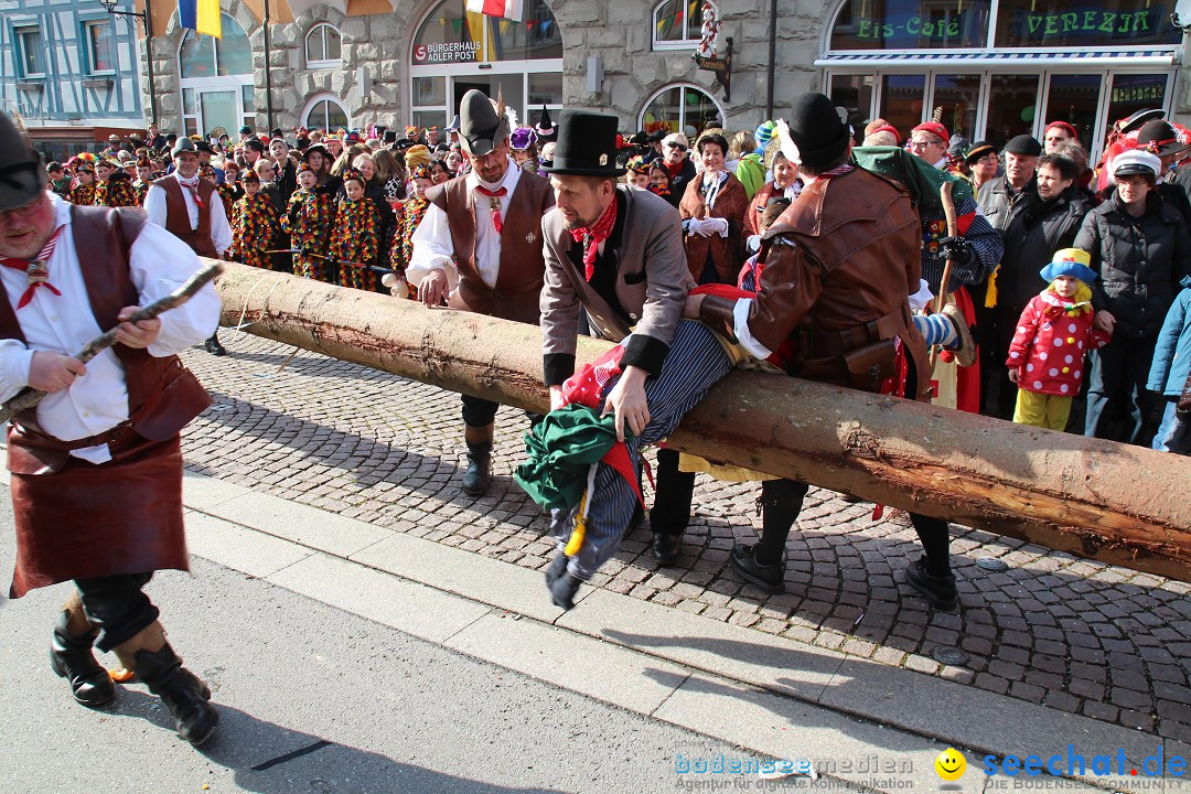 Narrenbaumstellen, Winfried Kretschmann: Stockach am Bodensee, 27.02.2014