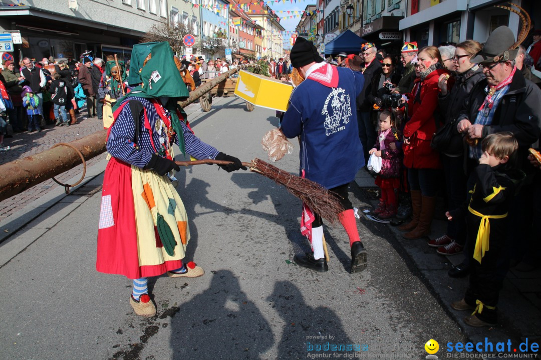 Narrenbaumstellen, Winfried Kretschmann: Stockach am Bodensee, 27.02.2014