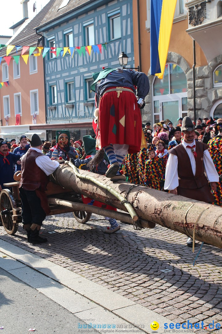 Narrenbaumstellen, Winfried Kretschmann: Stockach am Bodensee, 27.02.2014