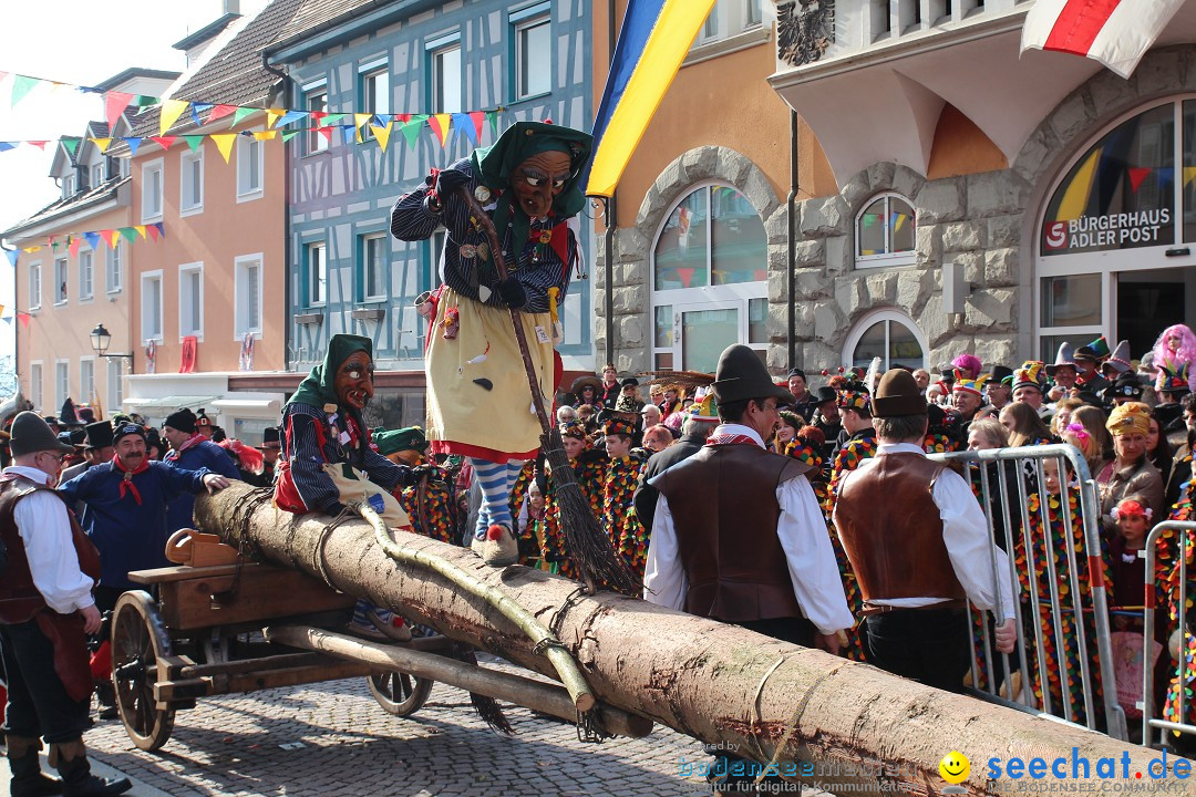 Narrenbaumstellen, Winfried Kretschmann: Stockach am Bodensee, 27.02.2014