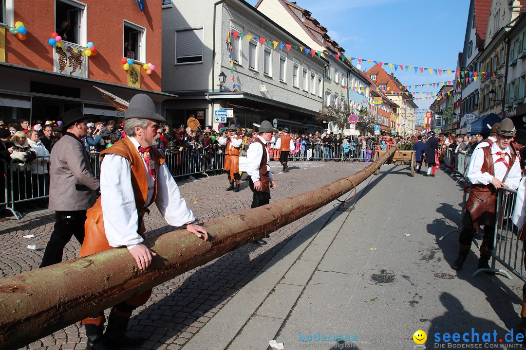 Narrenbaumstellen, Winfried Kretschmann: Stockach am Bodensee, 27.02.2014