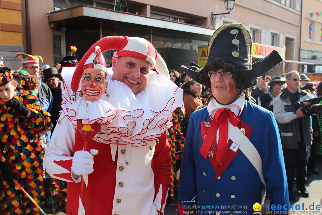 Narrenbaumstellen, Winfried Kretschmann: Stockach am Bodensee, 27.02.2014