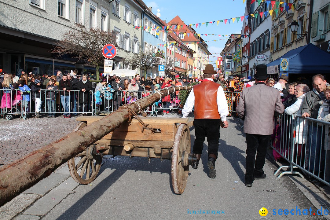 Narrenbaumstellen, Winfried Kretschmann: Stockach am Bodensee, 27.02.2014