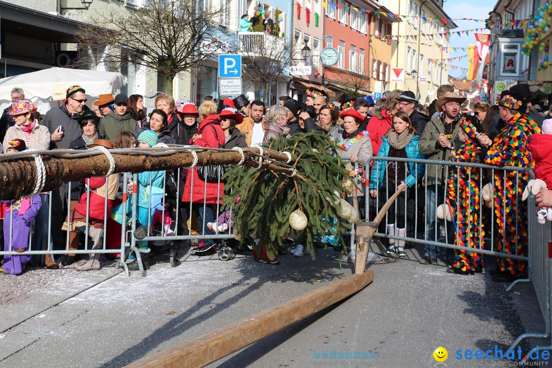 Narrenbaumstellen, Winfried Kretschmann: Stockach am Bodensee, 27.02.2014