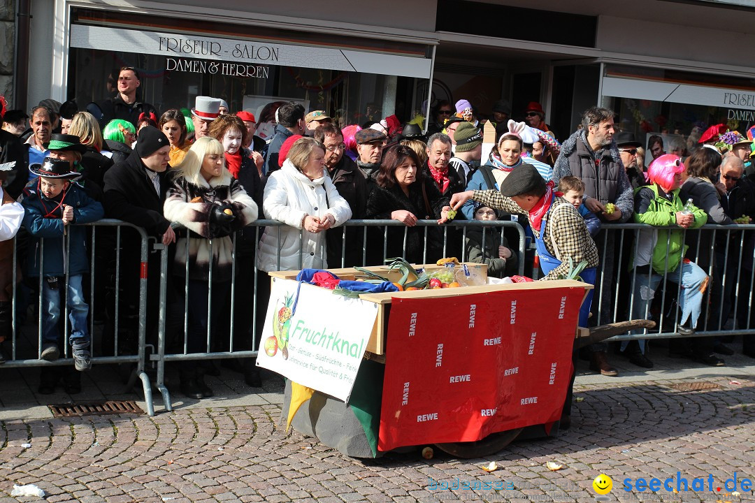 Narrenbaumstellen, Winfried Kretschmann: Stockach am Bodensee, 27.02.2014