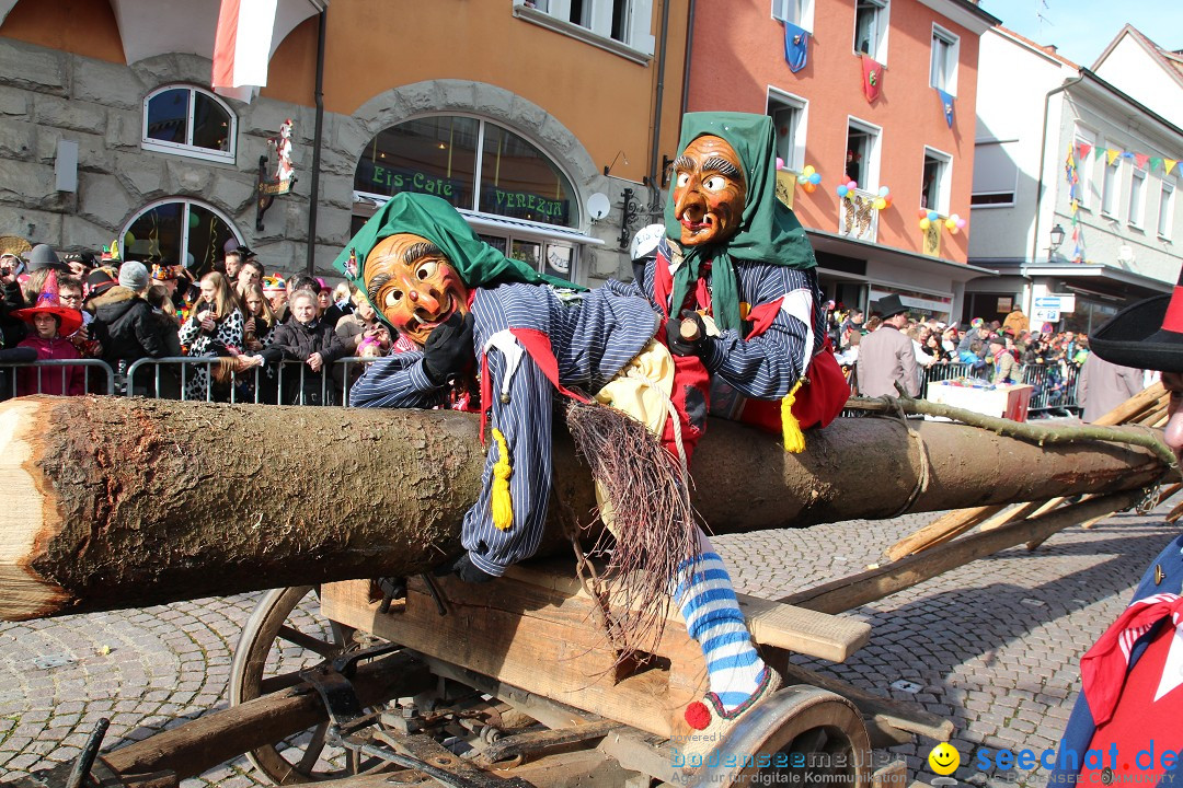 Narrenbaumstellen, Winfried Kretschmann: Stockach am Bodensee, 27.02.2014