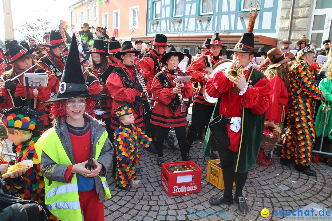 Narrenbaumstellen, Winfried Kretschmann: Stockach am Bodensee, 27.02.2014