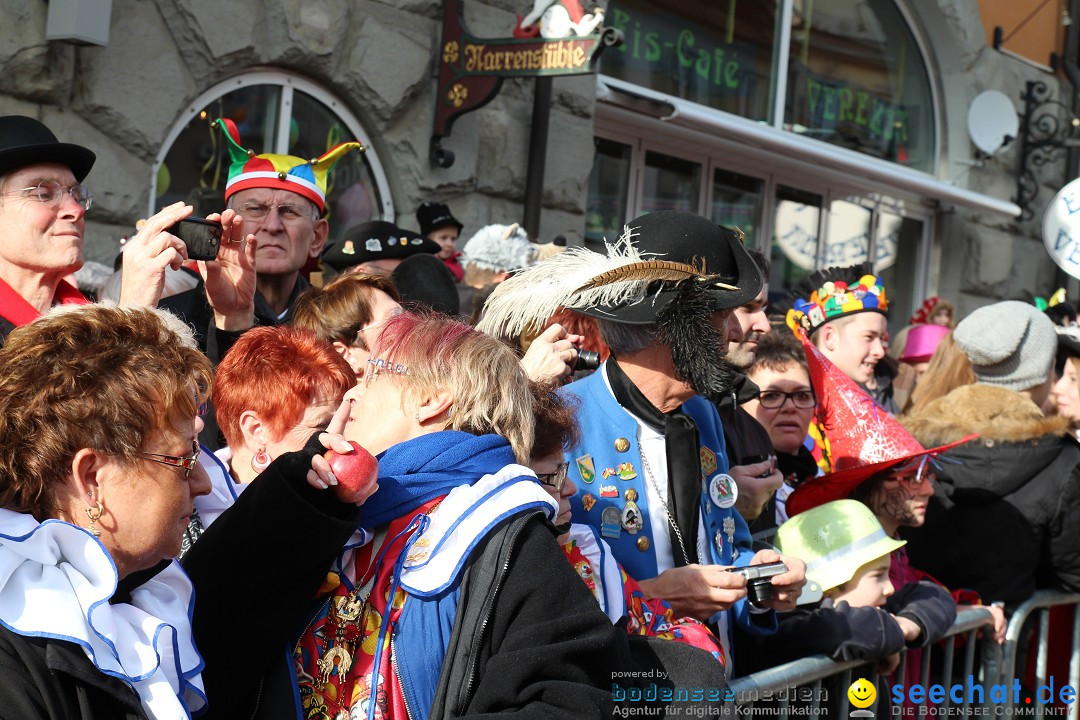 Narrenbaumstellen, Winfried Kretschmann: Stockach am Bodensee, 27.02.2014