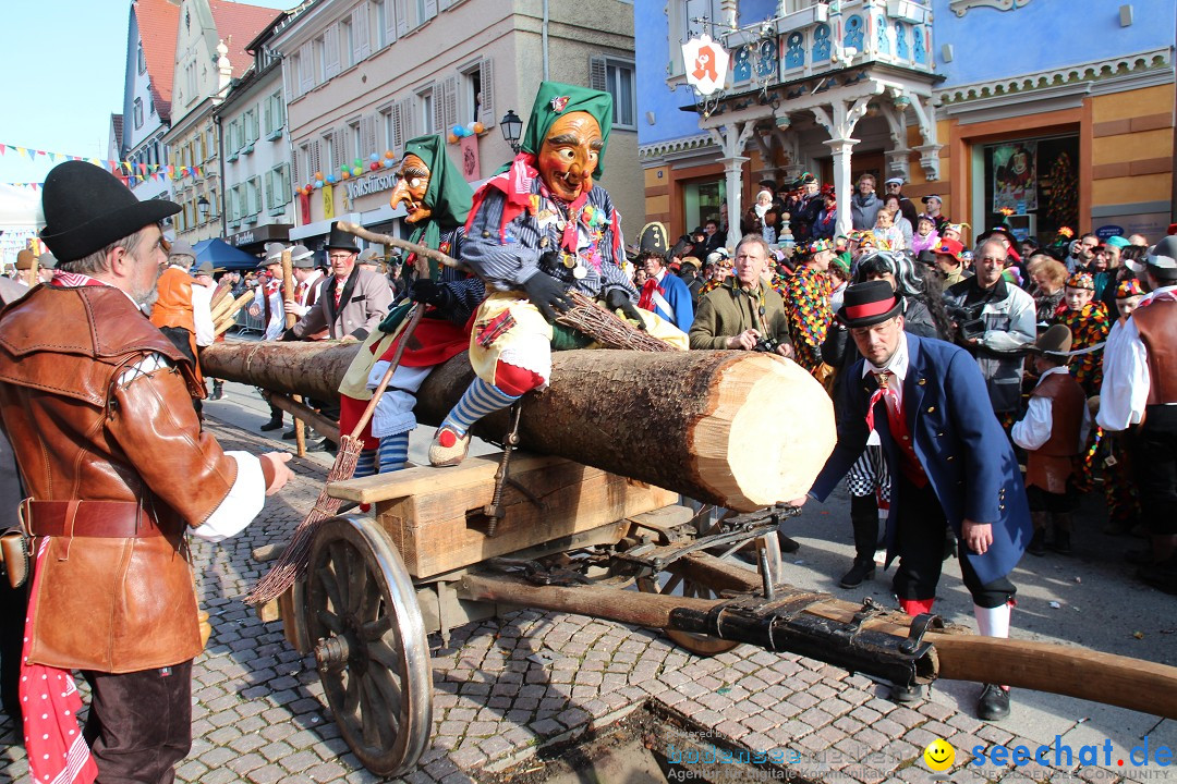 Narrenbaumstellen, Winfried Kretschmann: Stockach am Bodensee, 27.02.2014