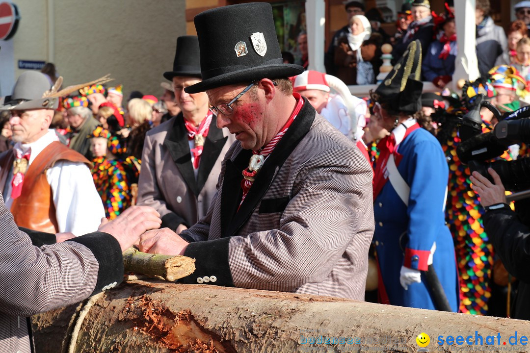 Narrenbaumstellen, Winfried Kretschmann: Stockach am Bodensee, 27.02.2014