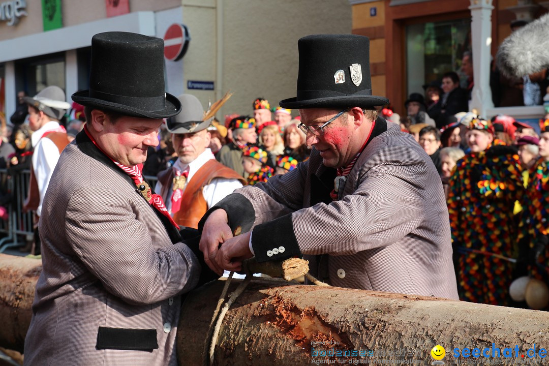 Narrenbaumstellen, Winfried Kretschmann: Stockach am Bodensee, 27.02.2014