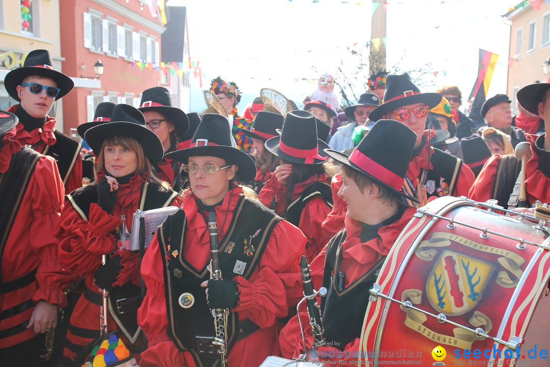 Narrenbaumstellen, Winfried Kretschmann: Stockach am Bodensee, 27.02.2014