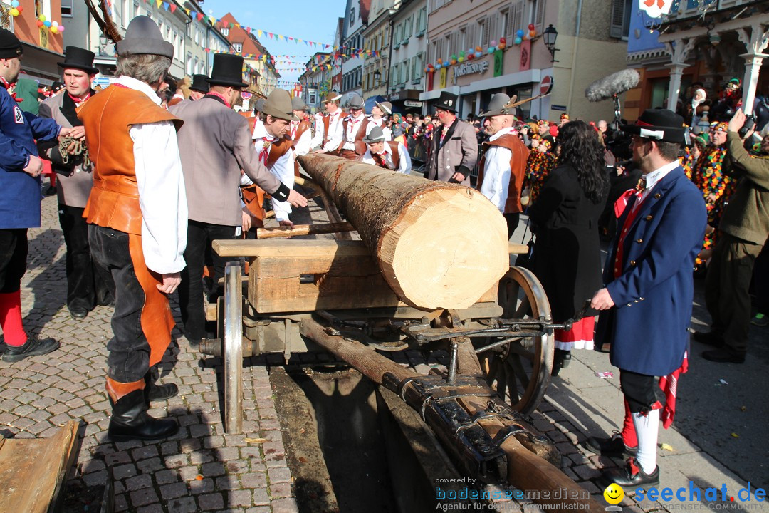 Narrenbaumstellen, Winfried Kretschmann: Stockach am Bodensee, 27.02.2014