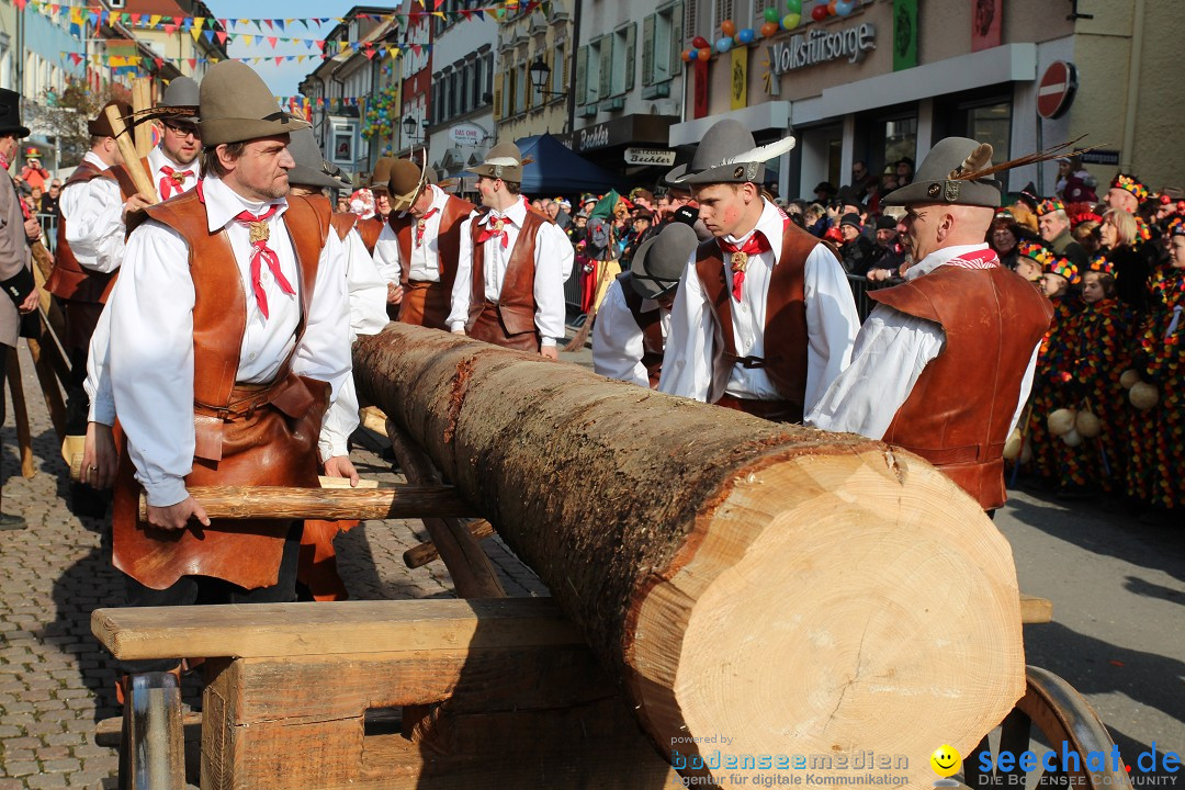 Narrenbaumstellen, Winfried Kretschmann: Stockach am Bodensee, 27.02.2014