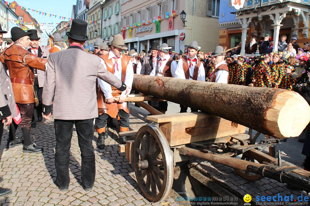 Narrenbaumstellen, Winfried Kretschmann: Stockach am Bodensee, 27.02.2014