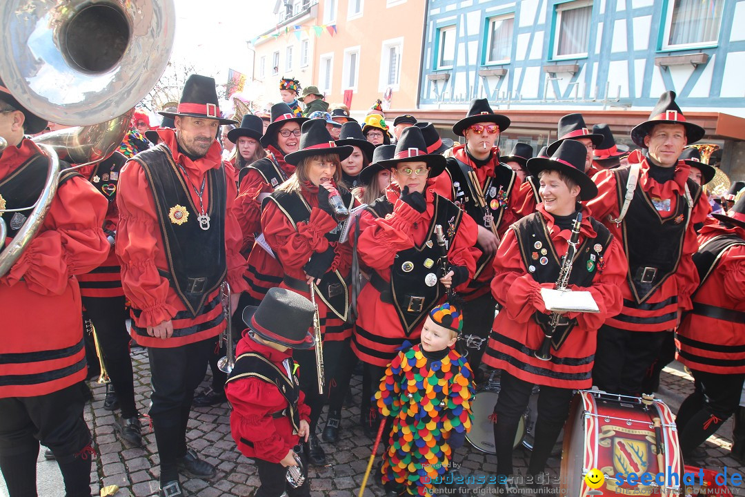 Narrenbaumstellen, Winfried Kretschmann: Stockach am Bodensee, 27.02.2014