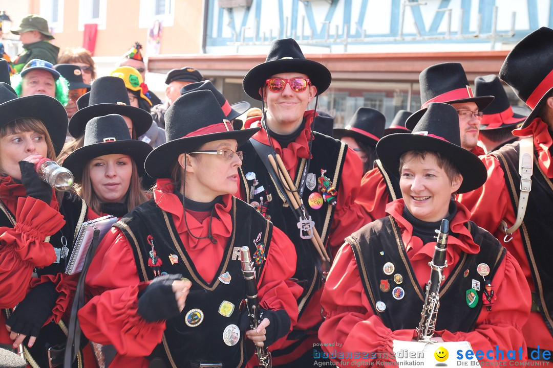 Narrenbaumstellen, Winfried Kretschmann: Stockach am Bodensee, 27.02.2014