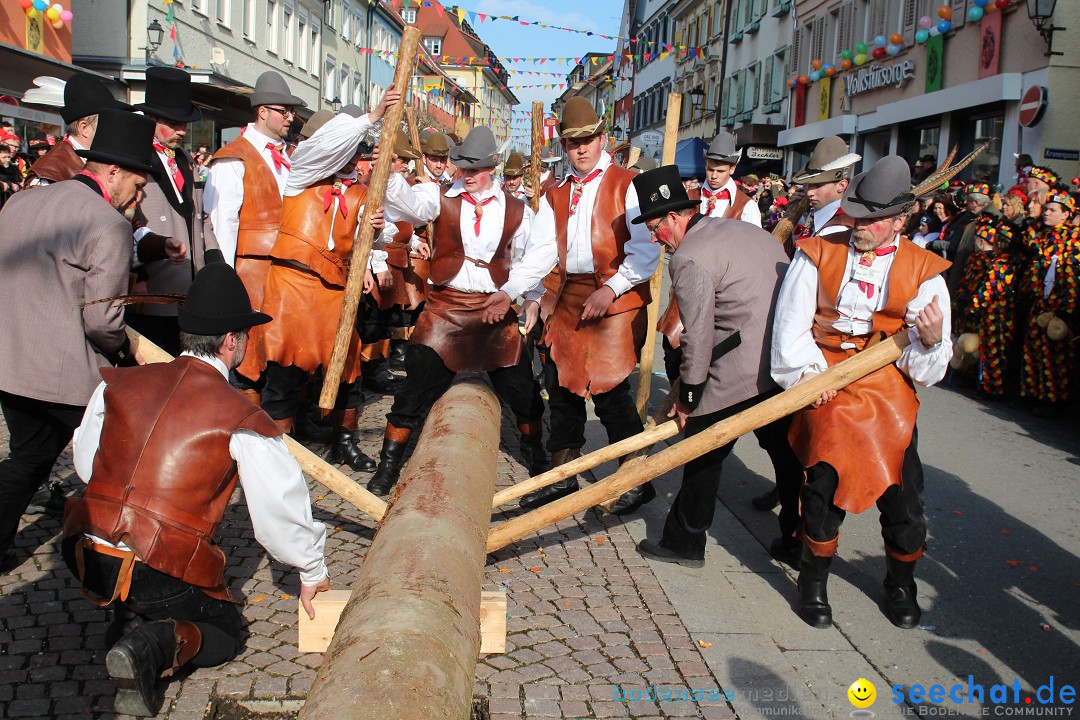 Narrenbaumstellen, Winfried Kretschmann: Stockach am Bodensee, 27.02.2014