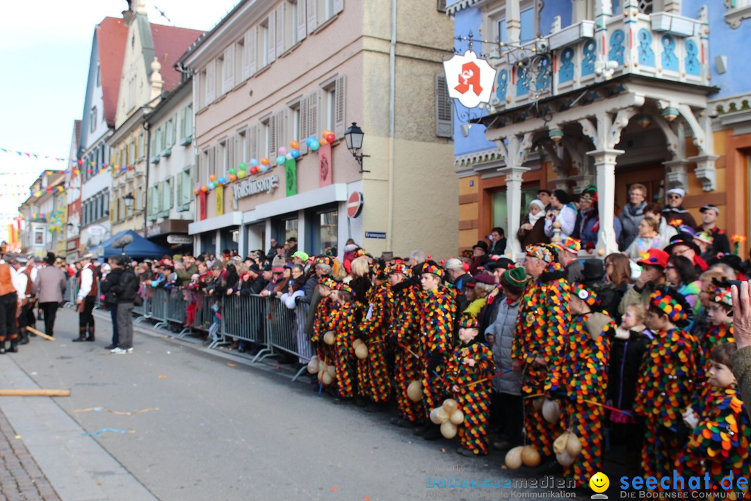 Narrenbaumstellen, Winfried Kretschmann: Stockach am Bodensee, 27.02.2014