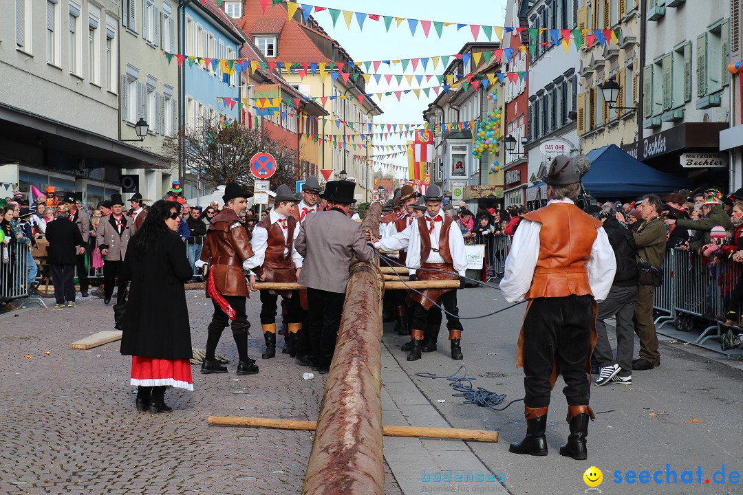 Narrenbaumstellen, Winfried Kretschmann: Stockach am Bodensee, 27.02.2014