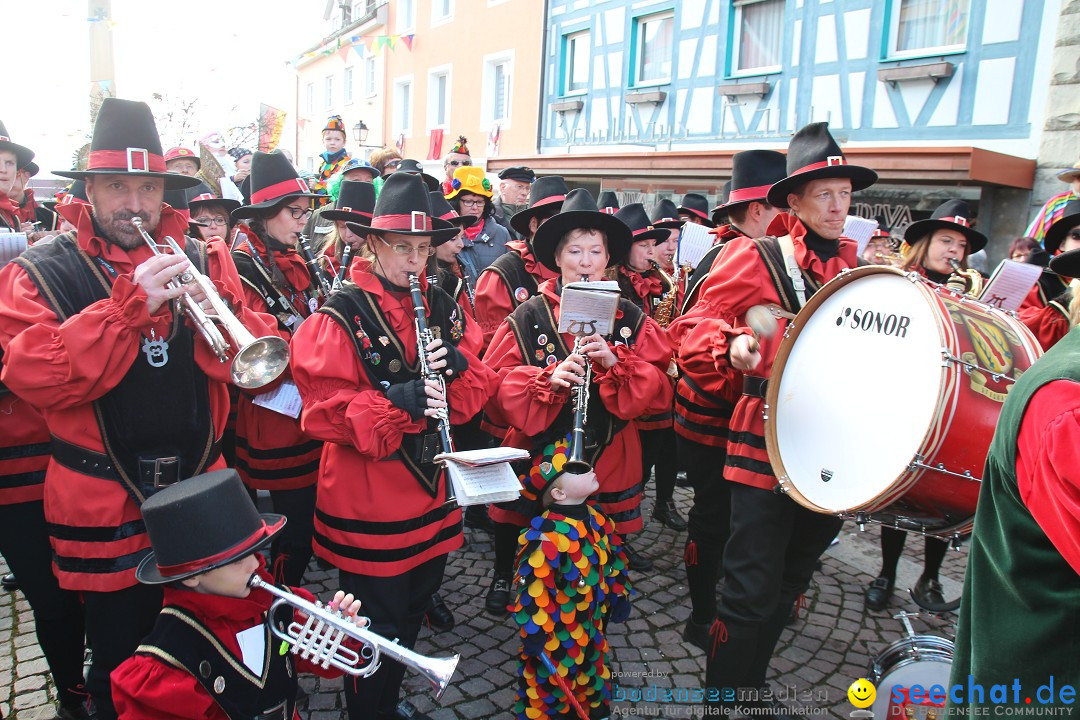 Narrenbaumstellen, Winfried Kretschmann: Stockach am Bodensee, 27.02.2014