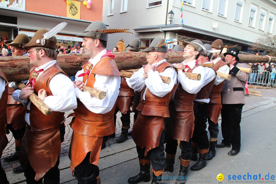 Narrenbaumstellen, Winfried Kretschmann: Stockach am Bodensee, 27.02.2014