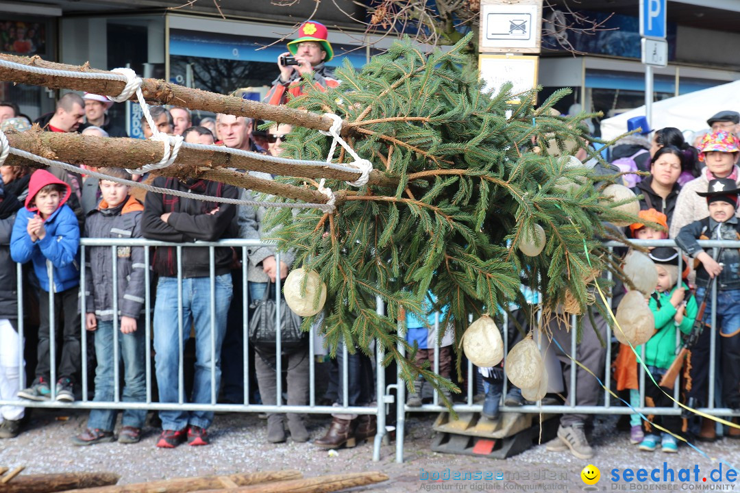 Narrenbaumstellen, Winfried Kretschmann: Stockach am Bodensee, 27.02.2014