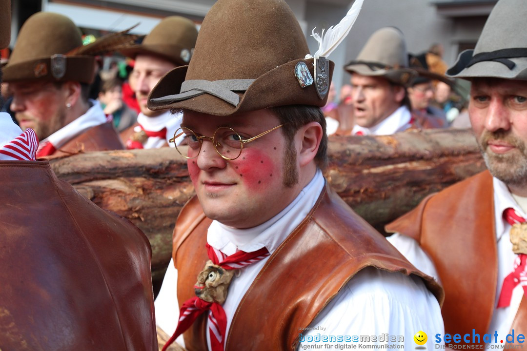 Narrenbaumstellen, Winfried Kretschmann: Stockach am Bodensee, 27.02.2014