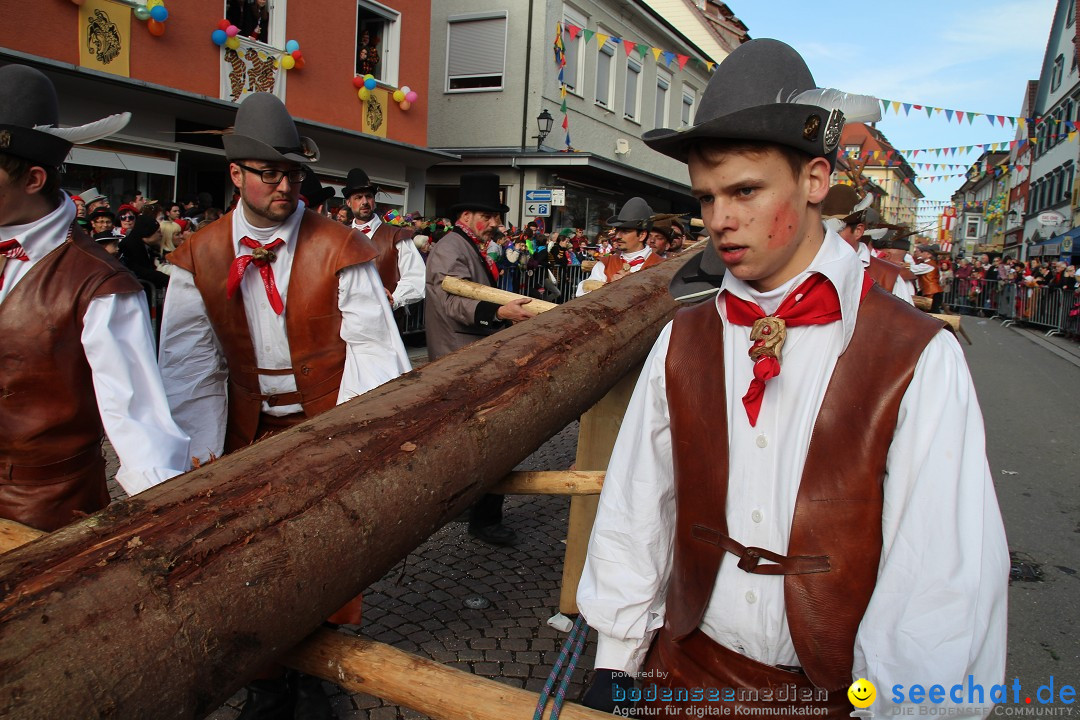 Narrenbaumstellen, Winfried Kretschmann: Stockach am Bodensee, 27.02.2014