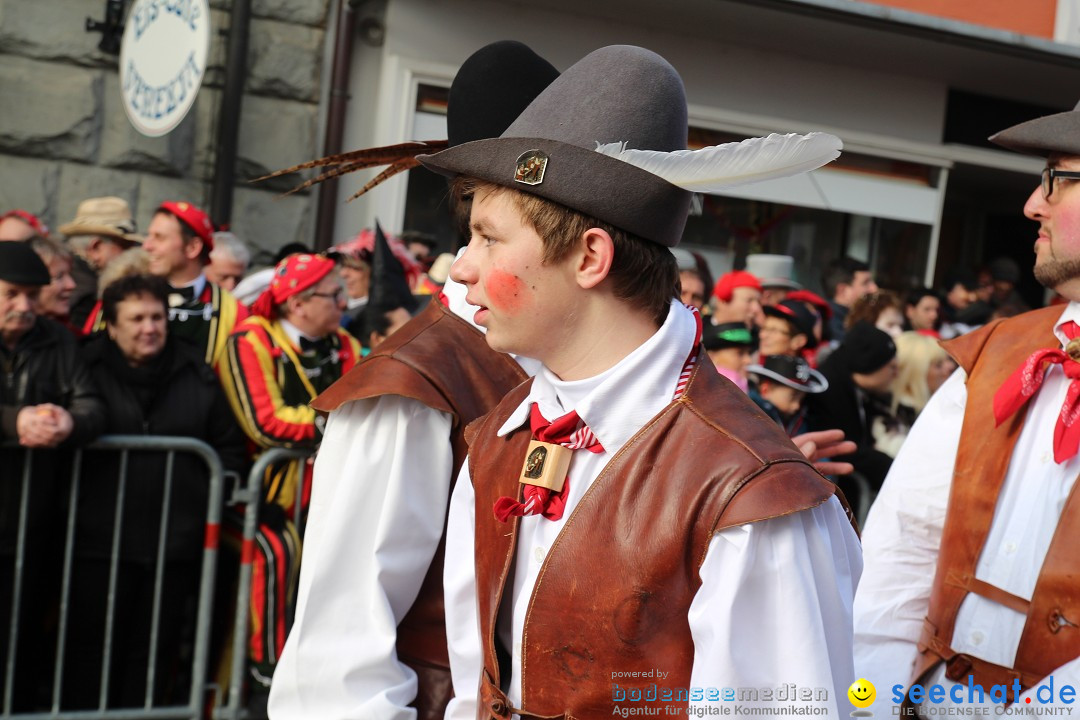 Narrenbaumstellen, Winfried Kretschmann: Stockach am Bodensee, 27.02.2014