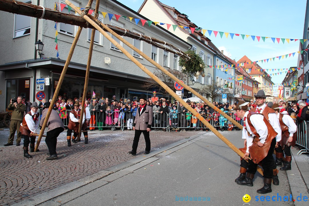 Narrenbaumstellen, Winfried Kretschmann: Stockach am Bodensee, 27.02.2014