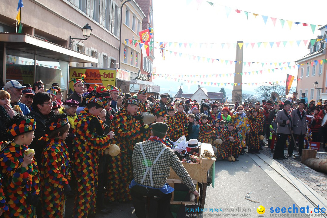 Narrenbaumstellen, Winfried Kretschmann: Stockach am Bodensee, 27.02.2014