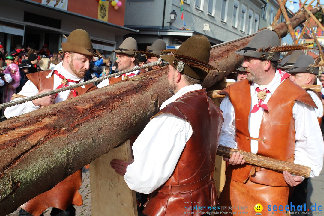 Narrenbaumstellen, Winfried Kretschmann: Stockach am Bodensee, 27.02.2014