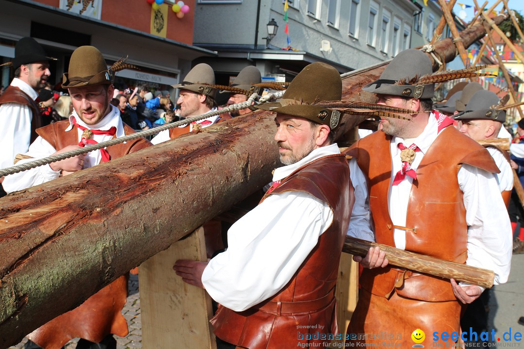 Narrenbaumstellen, Winfried Kretschmann: Stockach am Bodensee, 27.02.2014