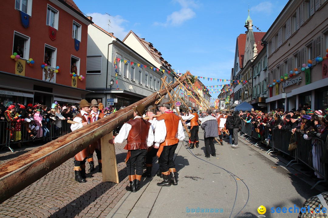 Narrenbaumstellen, Winfried Kretschmann: Stockach am Bodensee, 27.02.2014