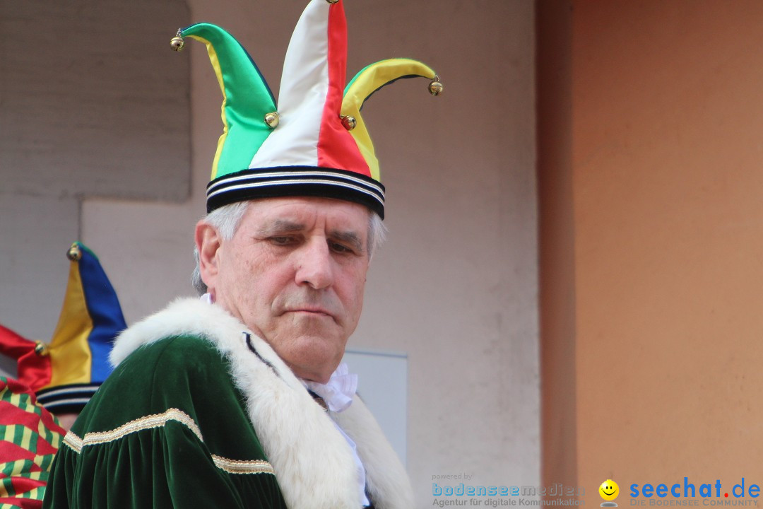 Narrenbaumstellen, Winfried Kretschmann: Stockach am Bodensee, 27.02.2014