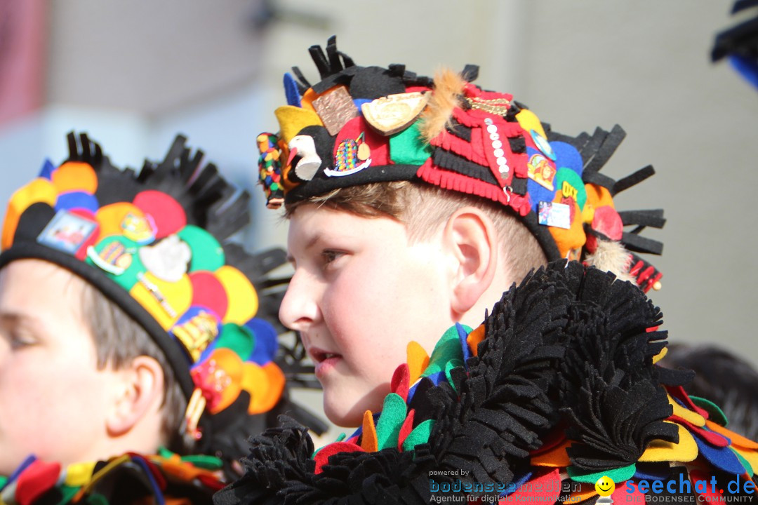 Narrenbaumstellen, Winfried Kretschmann: Stockach am Bodensee, 27.02.2014