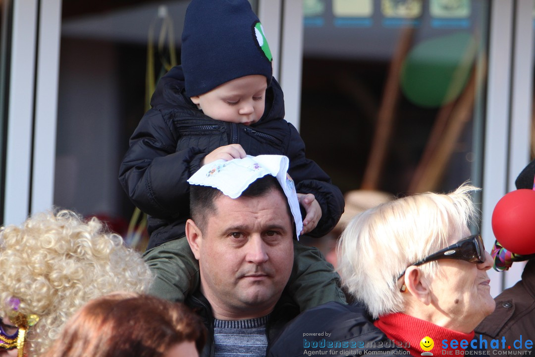 Narrenbaumstellen, Winfried Kretschmann: Stockach am Bodensee, 27.02.2014