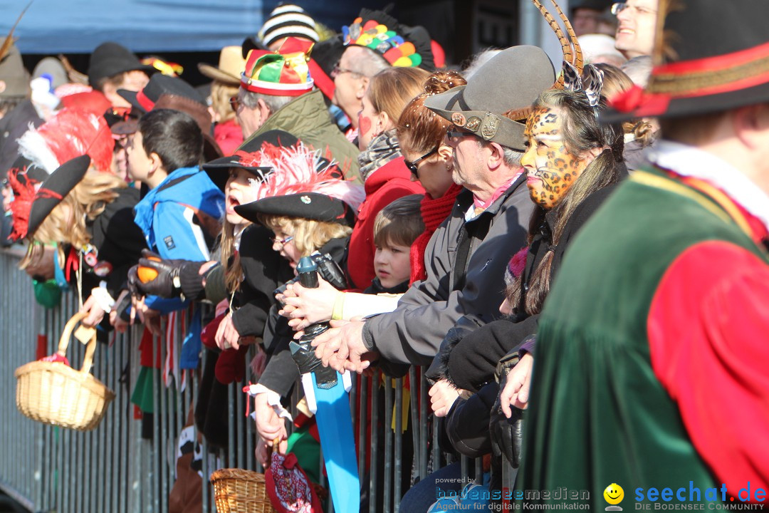 Narrenbaumstellen, Winfried Kretschmann: Stockach am Bodensee, 27.02.2014