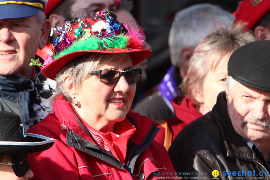 Narrenbaumstellen, Winfried Kretschmann: Stockach am Bodensee, 27.02.2014