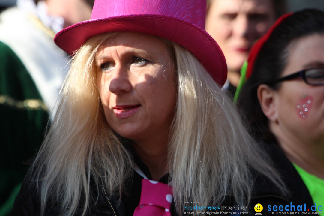 Narrenbaumstellen, Winfried Kretschmann: Stockach am Bodensee, 27.02.2014