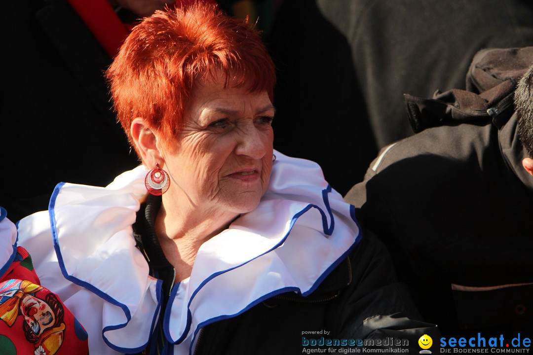 Narrenbaumstellen, Winfried Kretschmann: Stockach am Bodensee, 27.02.2014