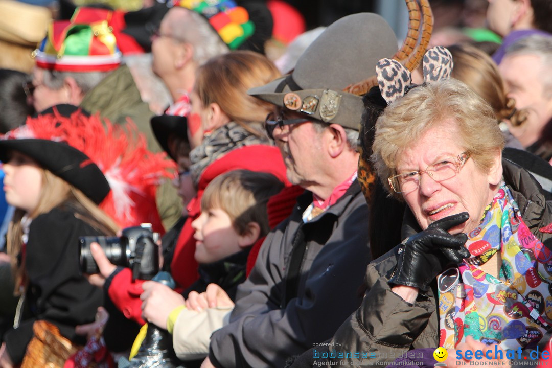 Narrenbaumstellen, Winfried Kretschmann: Stockach am Bodensee, 27.02.2014