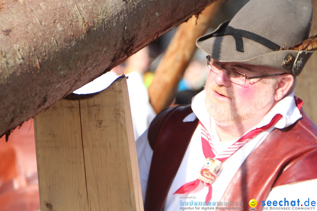 Narrenbaumstellen, Winfried Kretschmann: Stockach am Bodensee, 27.02.2014