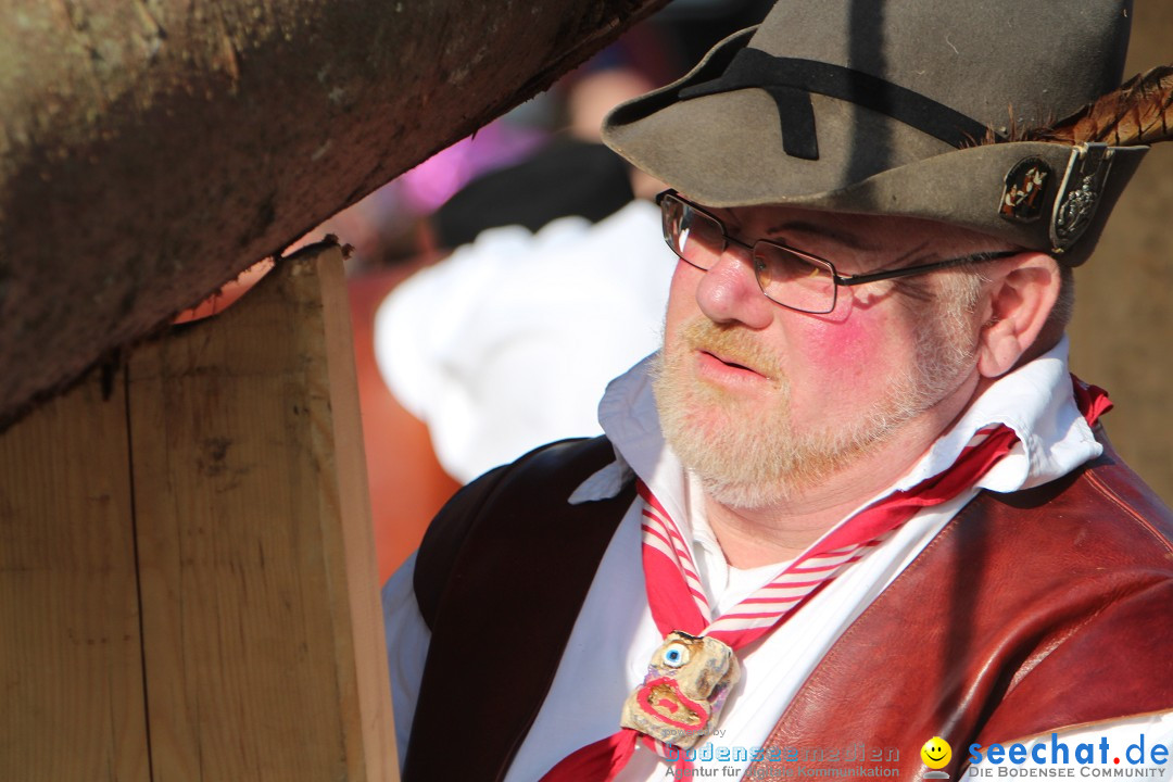 Narrenbaumstellen, Winfried Kretschmann: Stockach am Bodensee, 27.02.2014