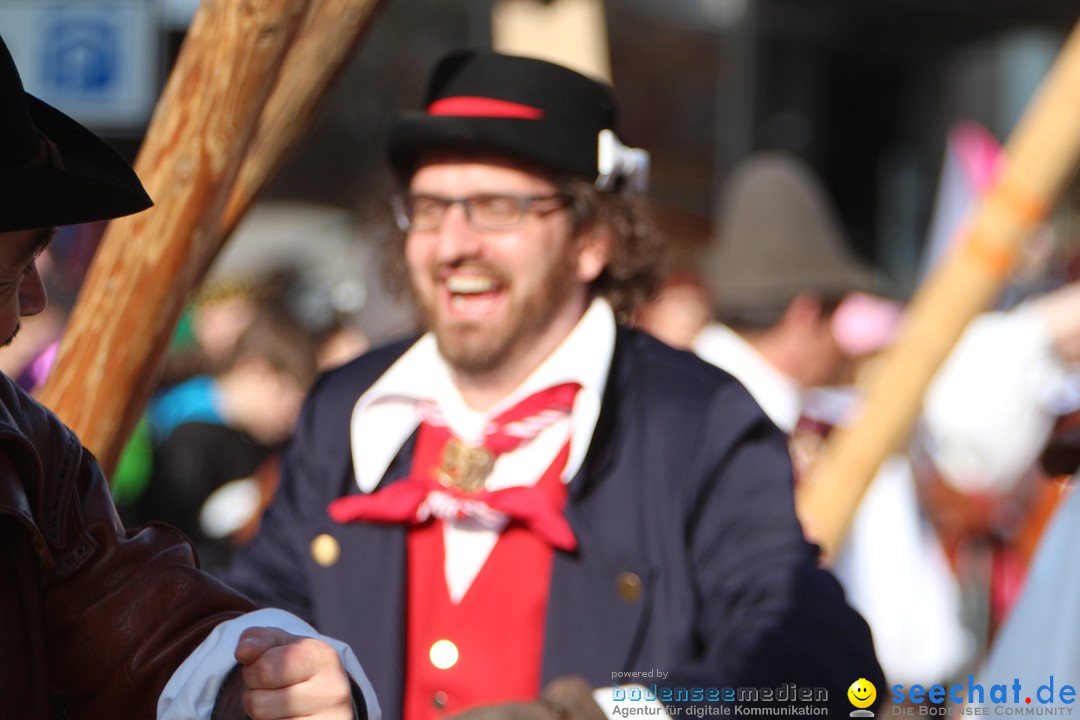 Narrenbaumstellen, Winfried Kretschmann: Stockach am Bodensee, 27.02.2014