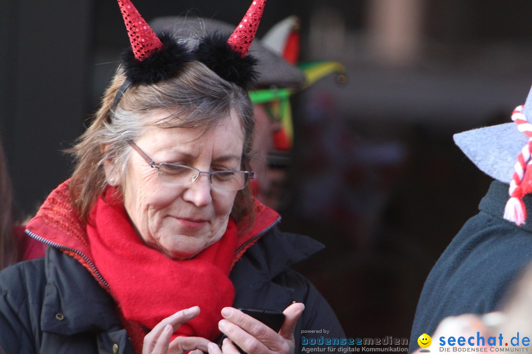 Narrenbaumstellen, Winfried Kretschmann: Stockach am Bodensee, 27.02.2014