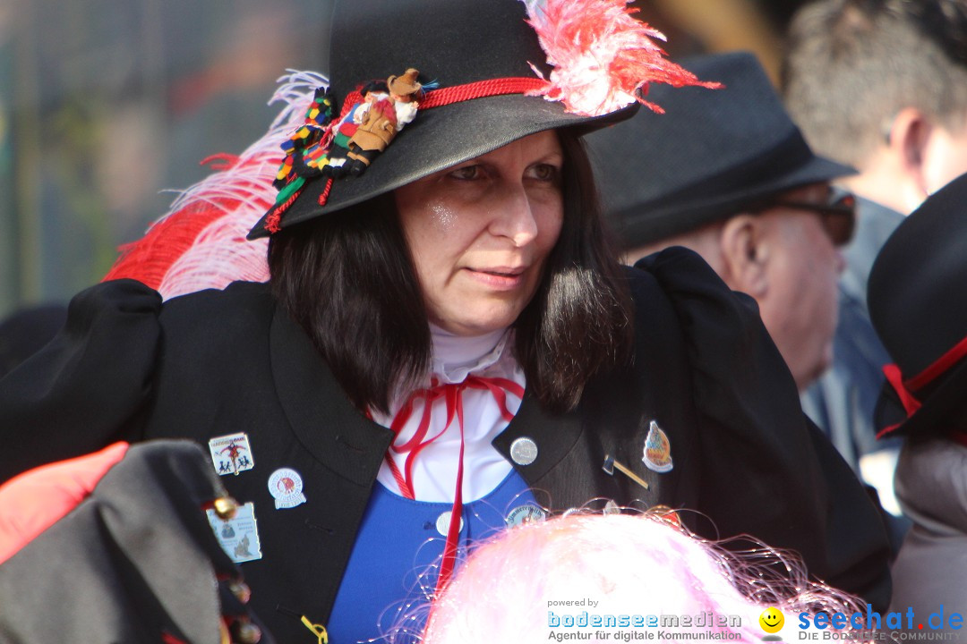 Narrenbaumstellen, Winfried Kretschmann: Stockach am Bodensee, 27.02.2014